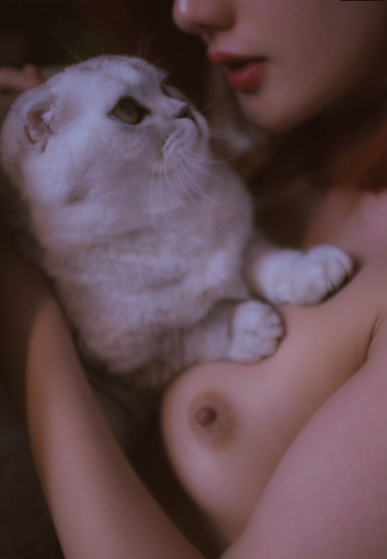 美女与猫猫